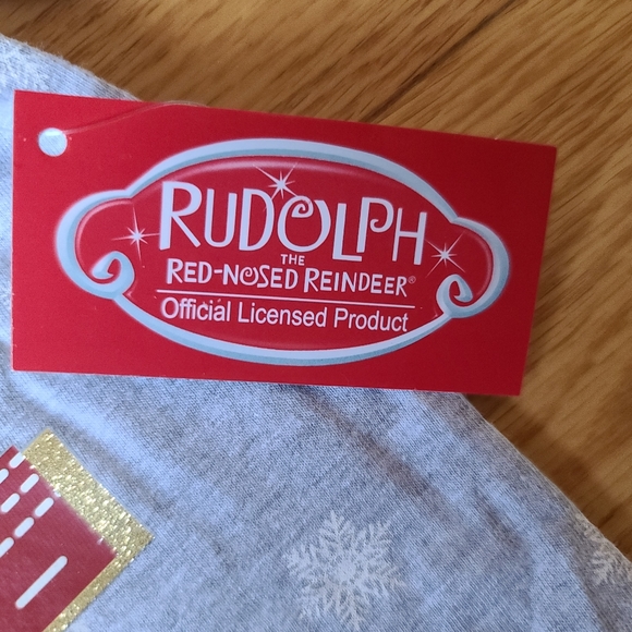 Rudolph the Red-Nosed Reindeer Gray Long Sleeve T-shirt, 4T - Picture 5 of 6